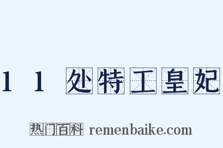 11处特工皇妃是什么意思的图片